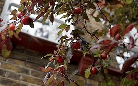 Beautiful London Home Sleeps 6, 2 Minutes To Metro